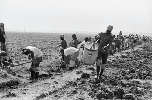 Slavery, the Prison Industrial Complex: Photographs by Keith Calhoun and Chandra McCormick